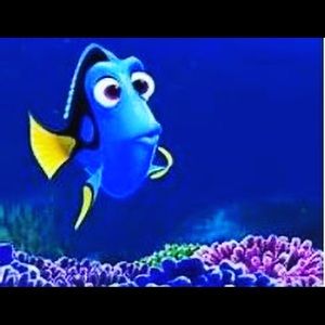 Meet your Posher, Lynne